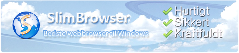 best web for windows