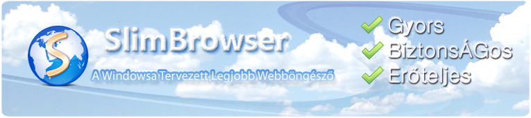 best web for windows