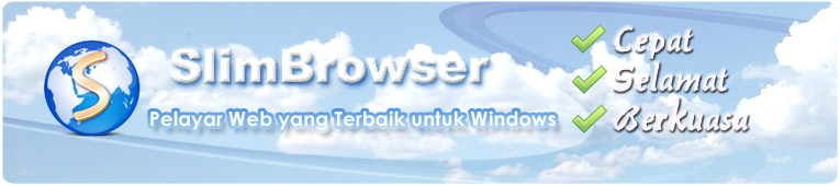best web for windows