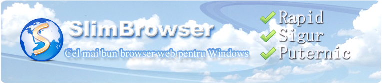 best web for windows