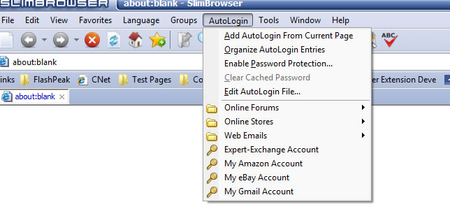 auto login in the web browser