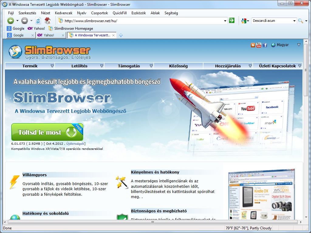browser main window